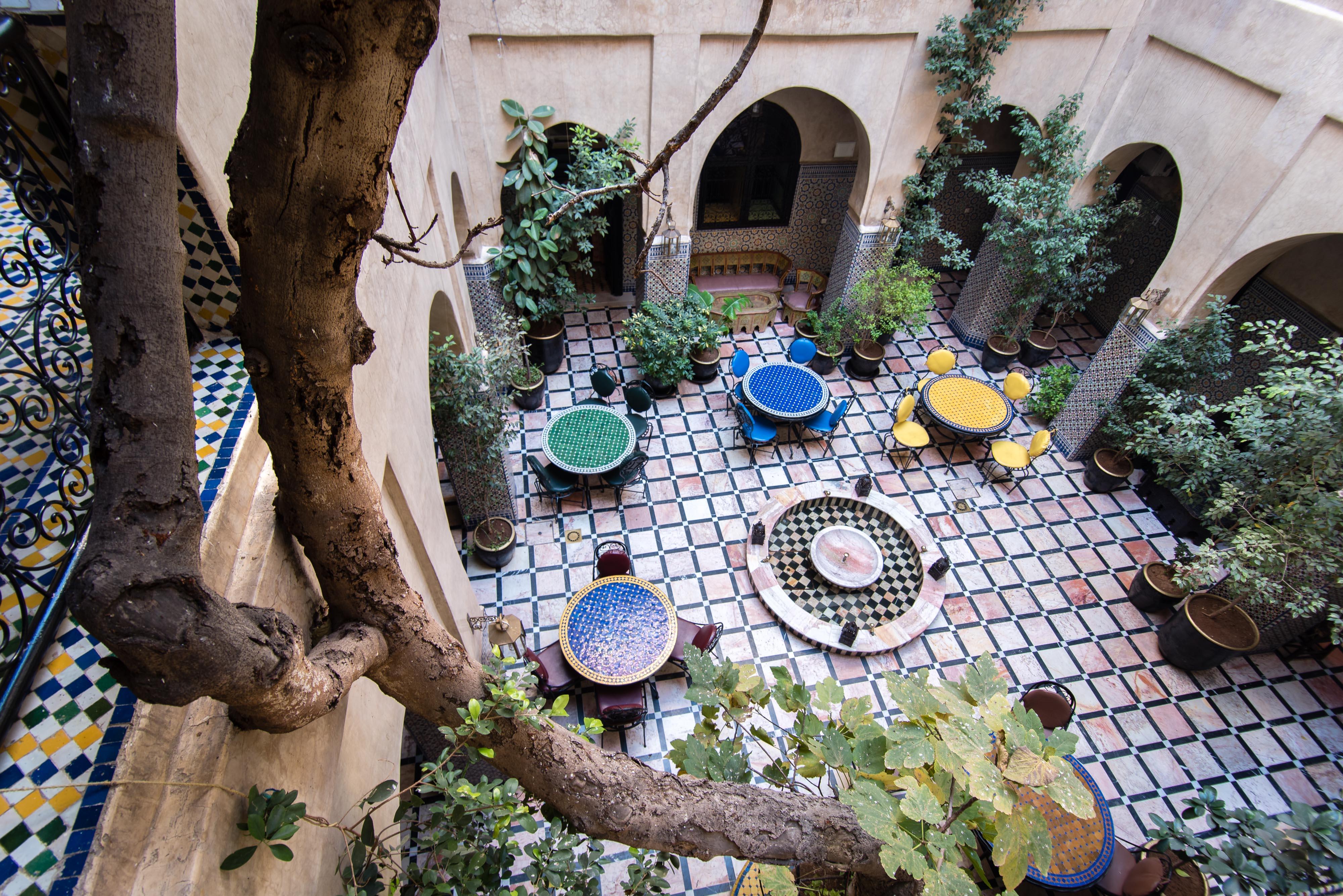 Omar Marrakesh