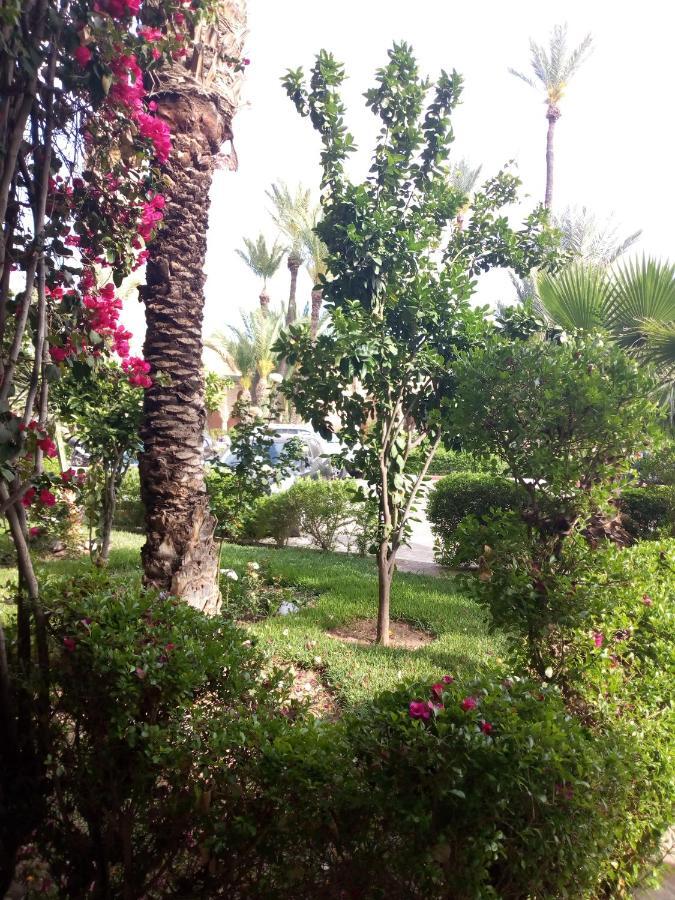 Omar Riad Marrakesh
